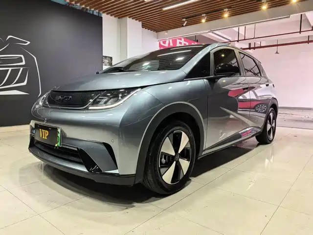2023 BYD Dolphin