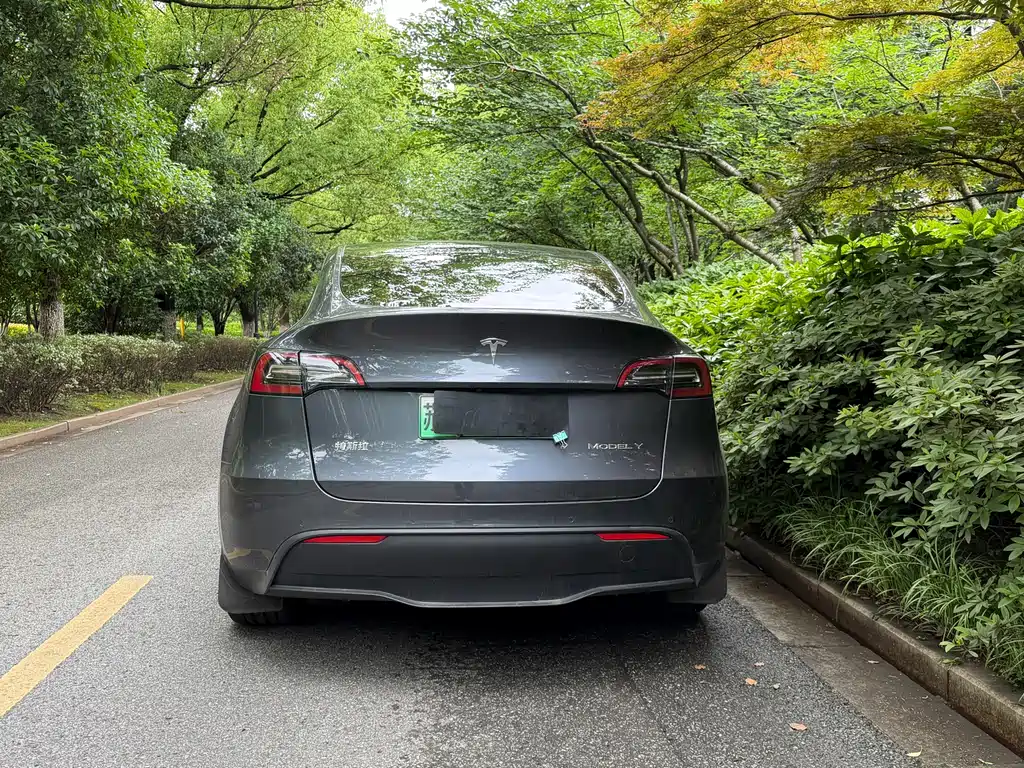 Tesla Model Y 2021 3D7