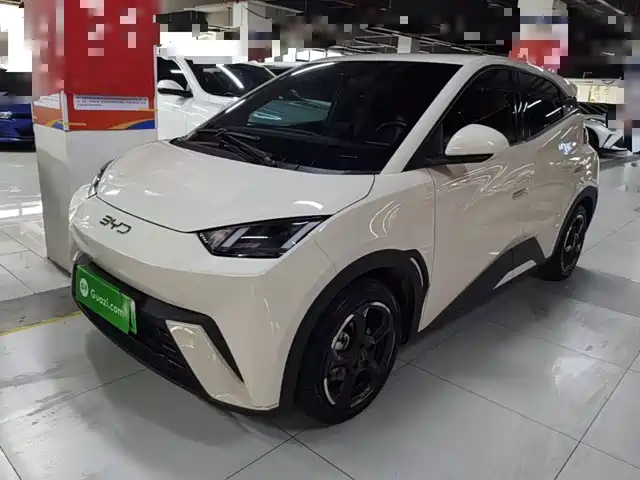 2024 BYD Seagull