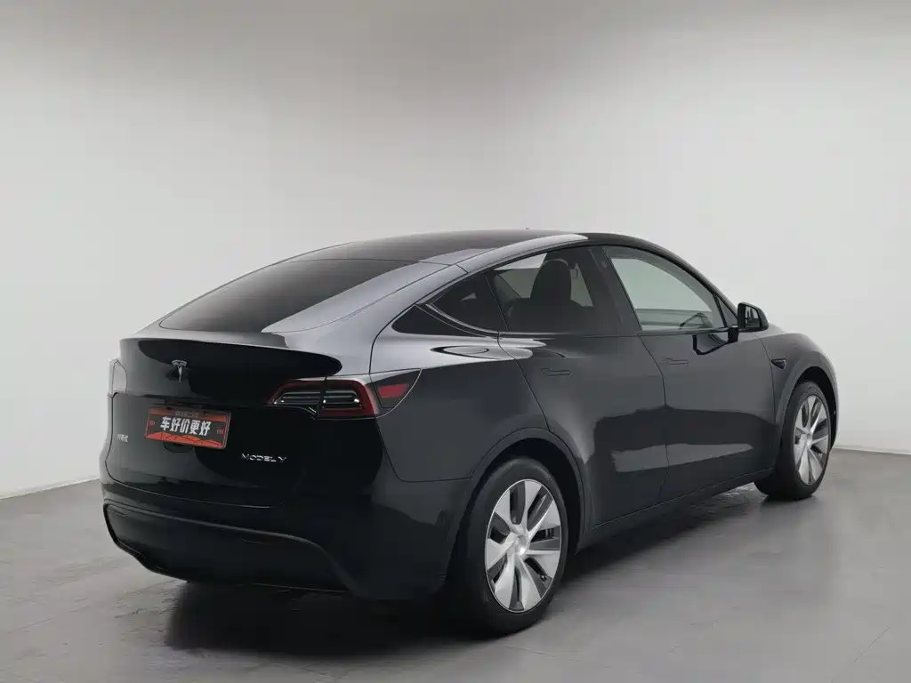 Tesla Model Y — миниатюра 2