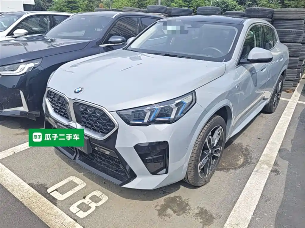 Купить BMW X2 (Import)