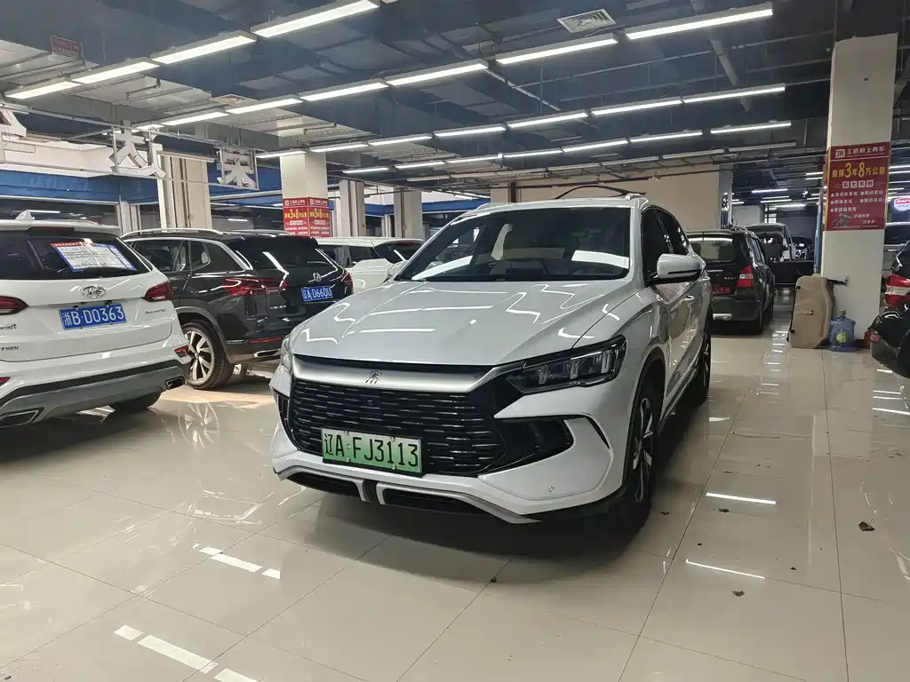 BYD Pro New Energy - фото 2