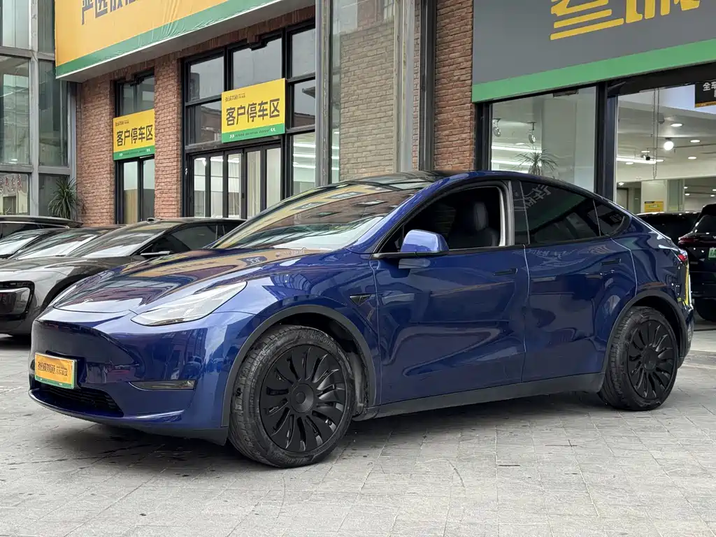 Tesla Model Y — миниатюра 4