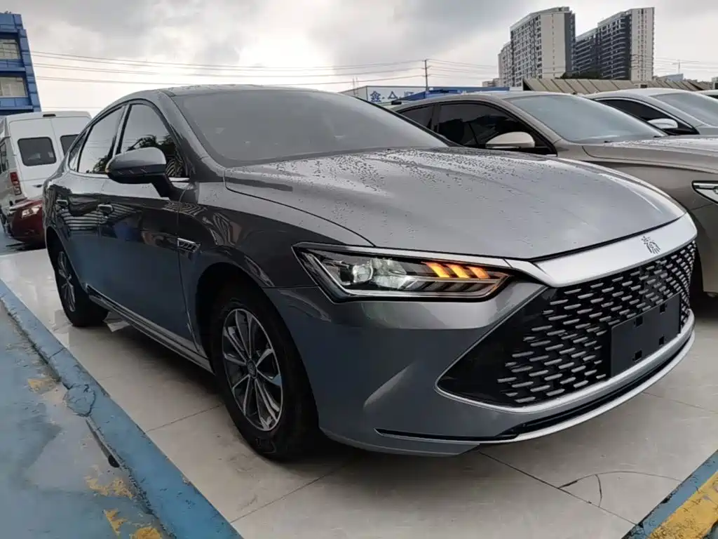 BYD Qin Plus PLUS 2024 DM-i 55KM Lead