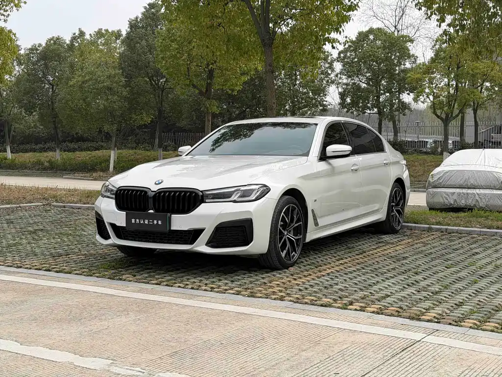 BMW 5 Series 2020