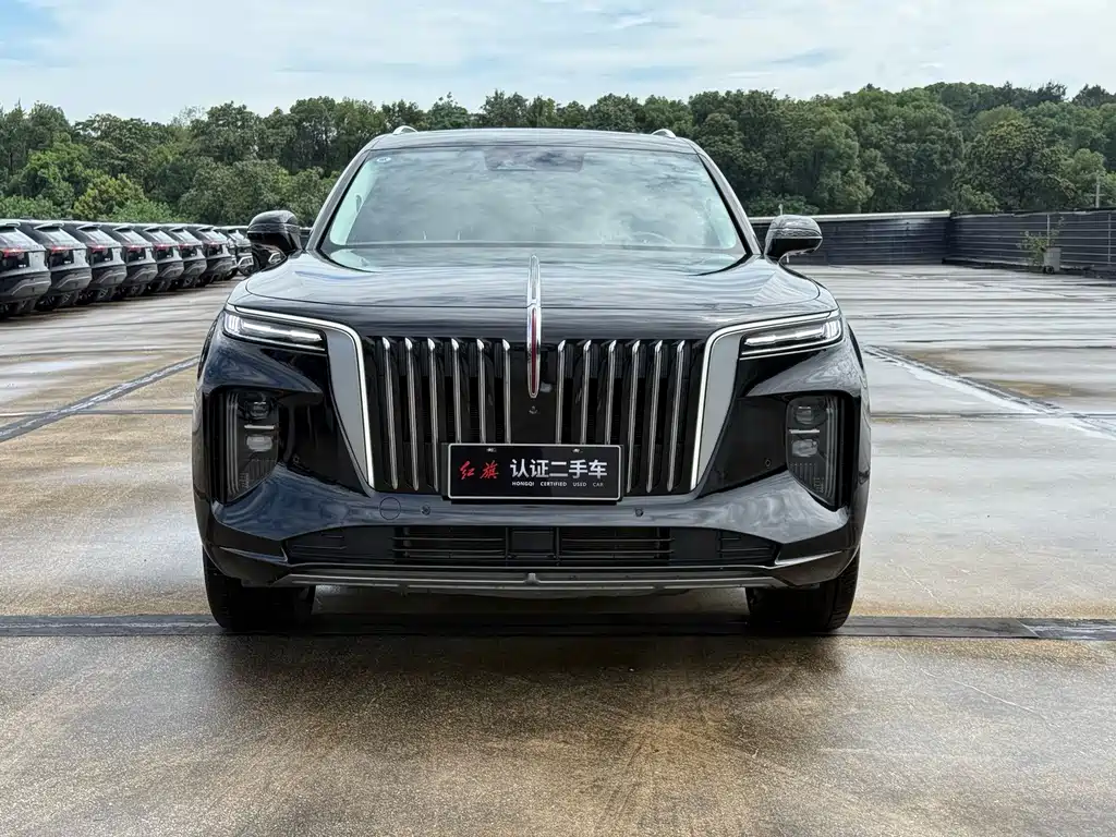 Hongqi Hongqi E-HS9 — миниатюра 2