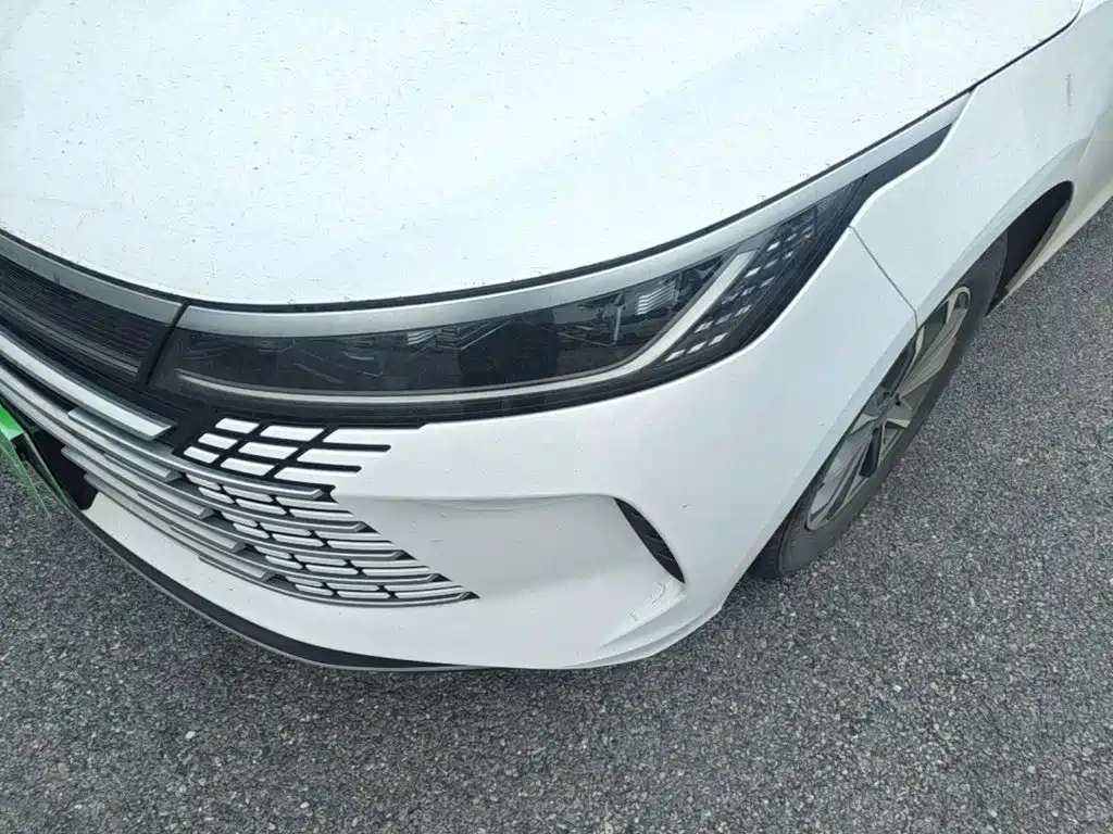 BYD Destroyer 05 — миниатюра 24