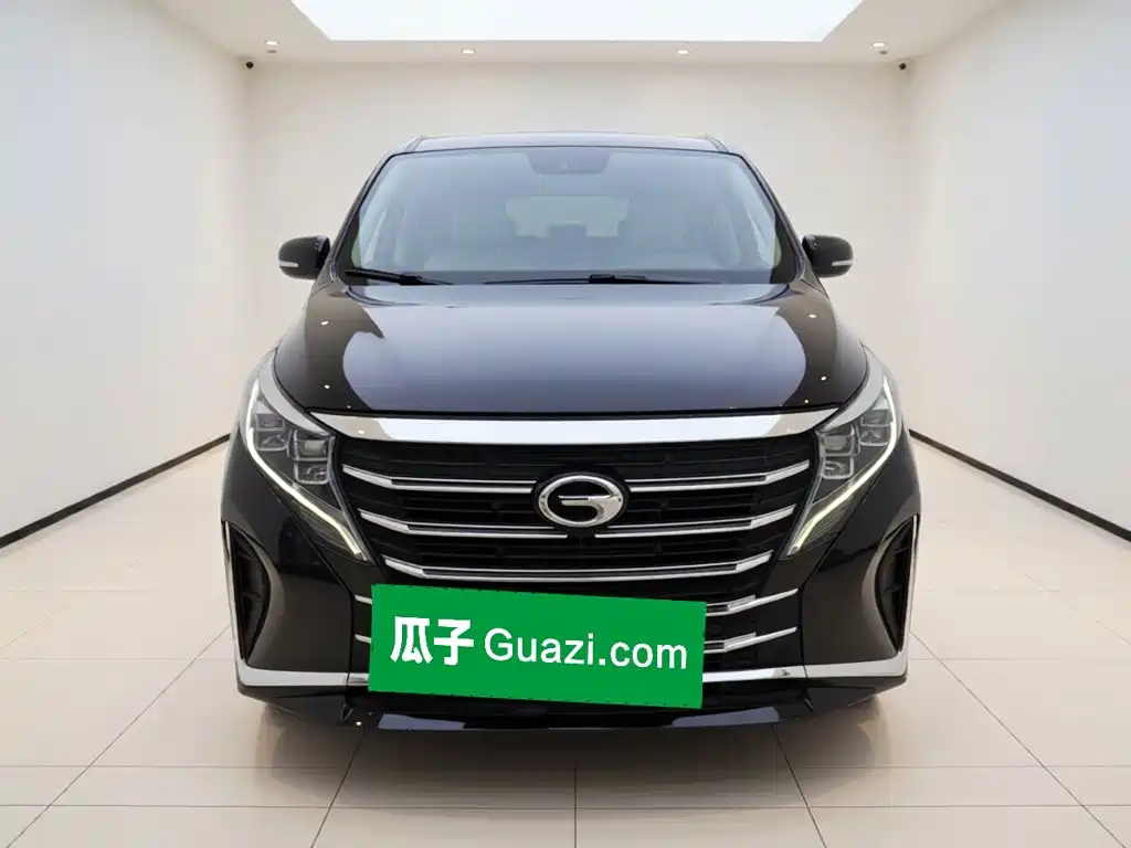 GAC Motor Trumpchi M8 — миниатюра 2