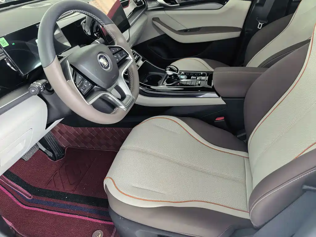 BYD Qin Plus PLUS 2024 EV 510KM Lead