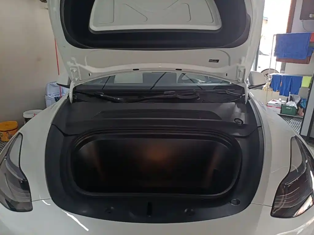 Tesla Model Y — миниатюра 20