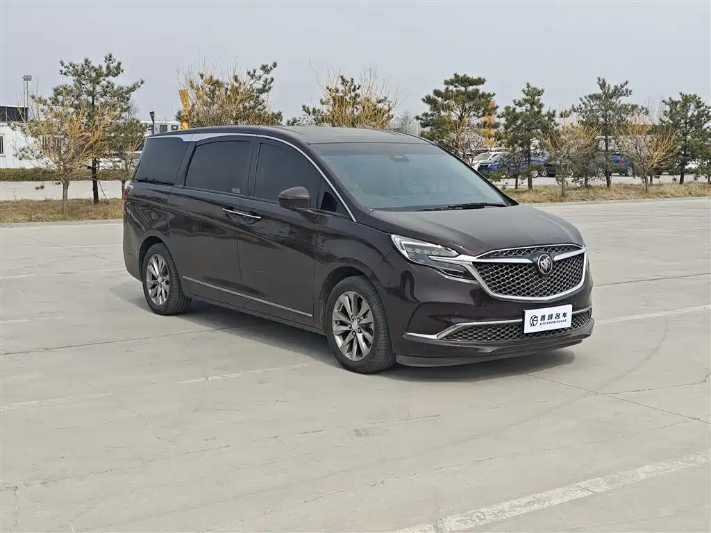 Buick GL8 2020 Avenir мест