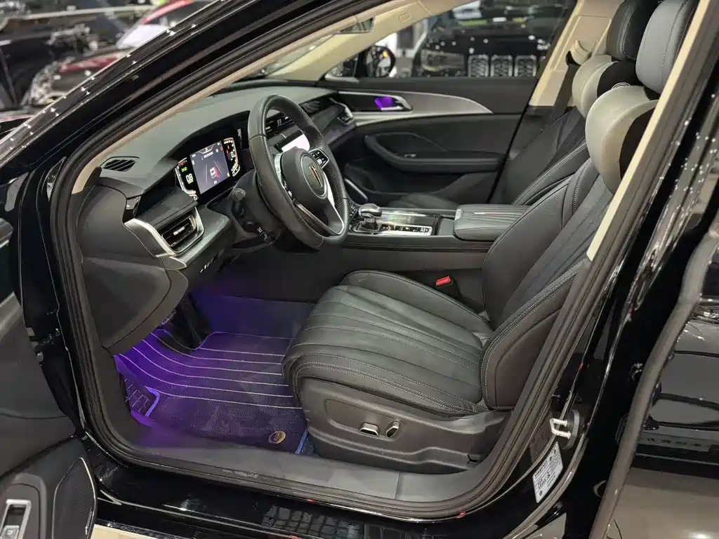 Hongqi H5 2023 2.0T AT