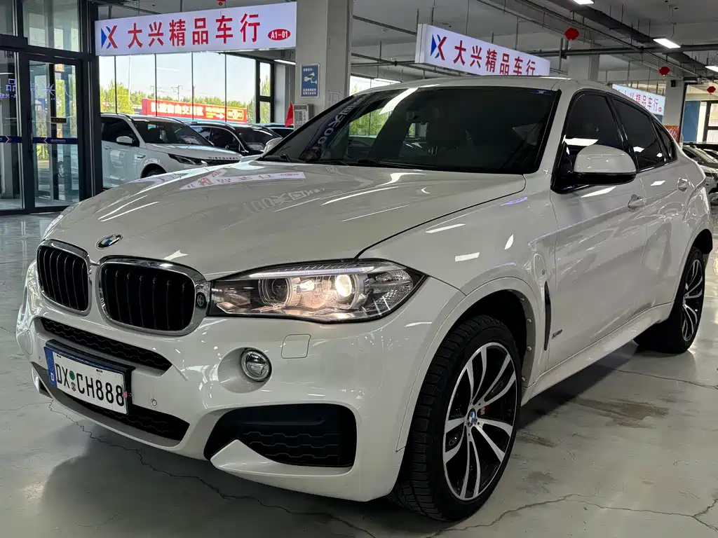 BMW X6 2019