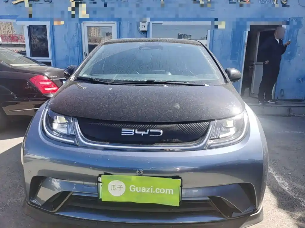 BYD Dolphin — миниатюра 3