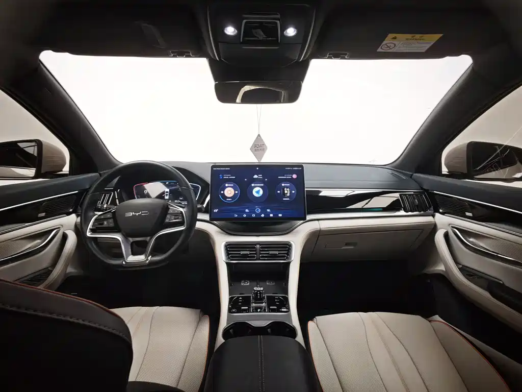 BYD PLUS New Energy — миниатюра 18