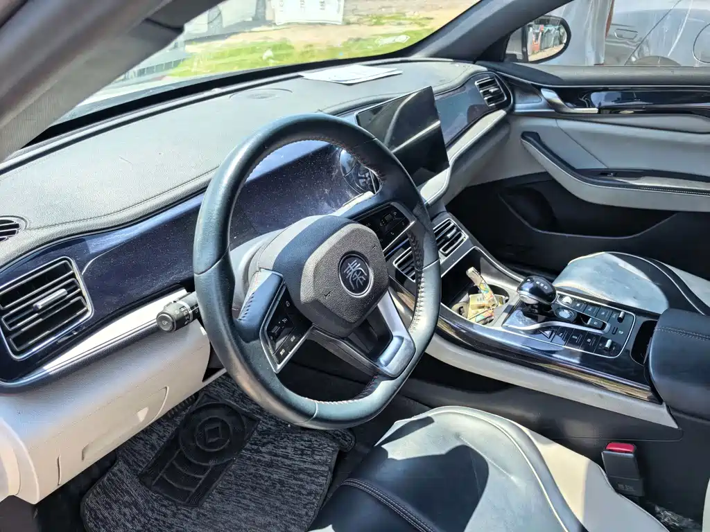 BYD Qin Plus PLUS 2021 DM-i 55KM Flagship