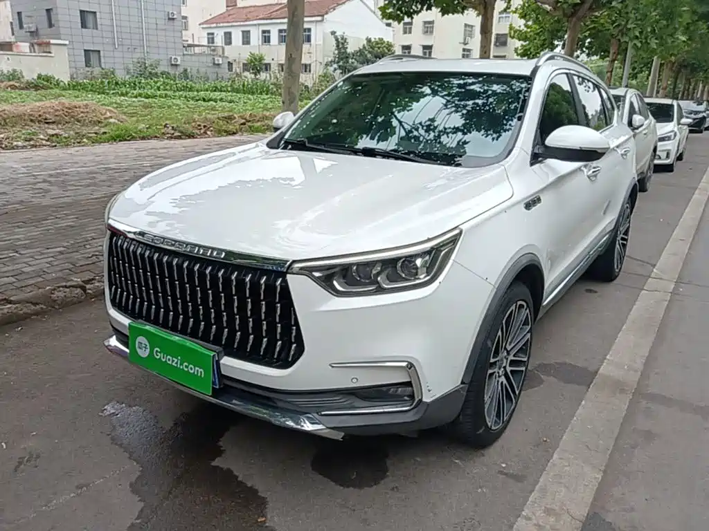 Leopaard Mattu