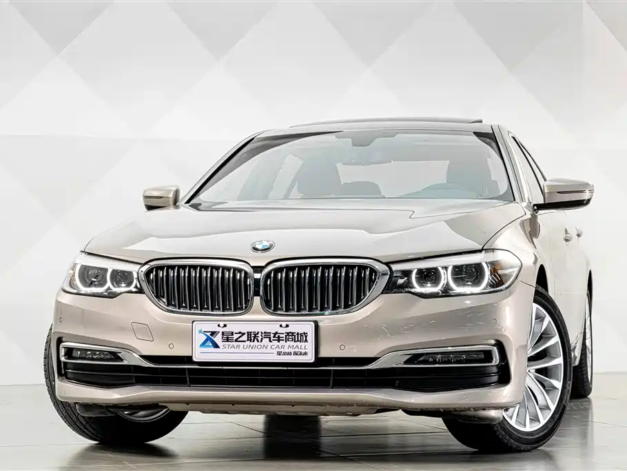 BMW 5 Series 5 2019 525Li Luxury