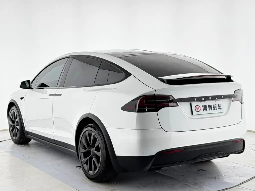 Tesla Model X — миниатюра 10