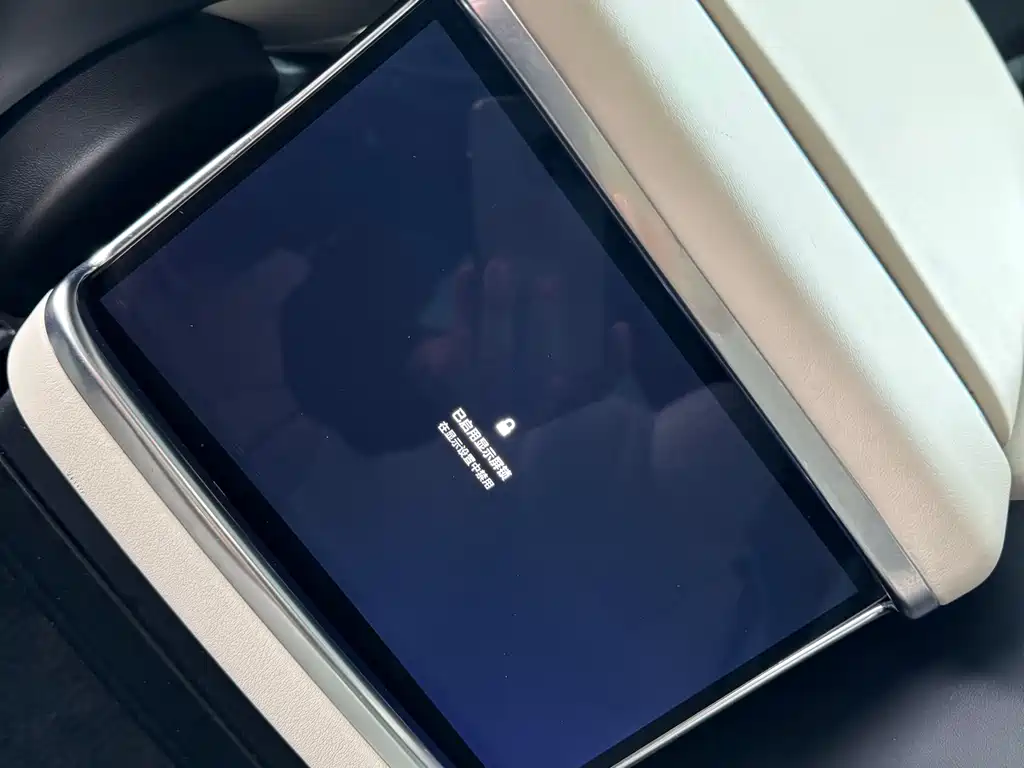 Tesla Model X — миниатюра 13