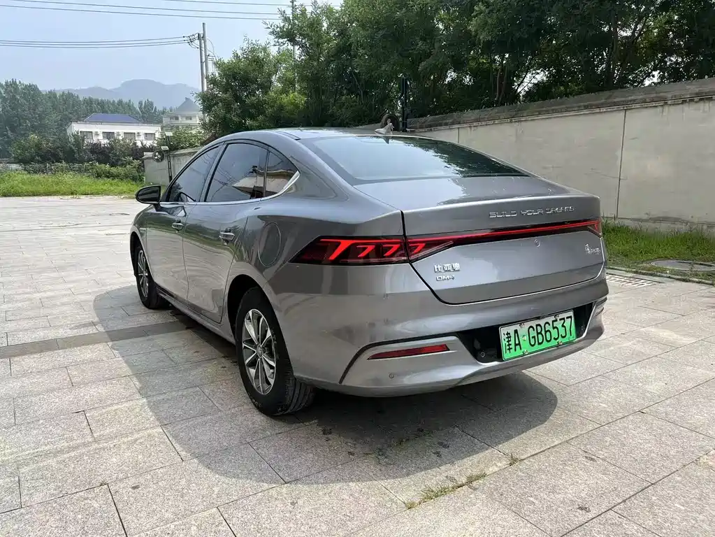BYD Qin Plus PLUS 2023 Champion DM-i 55KM Lead