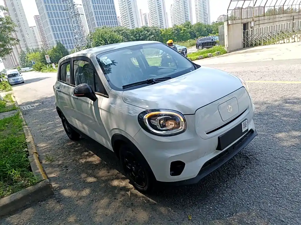 Leapmotor T03 2025 310