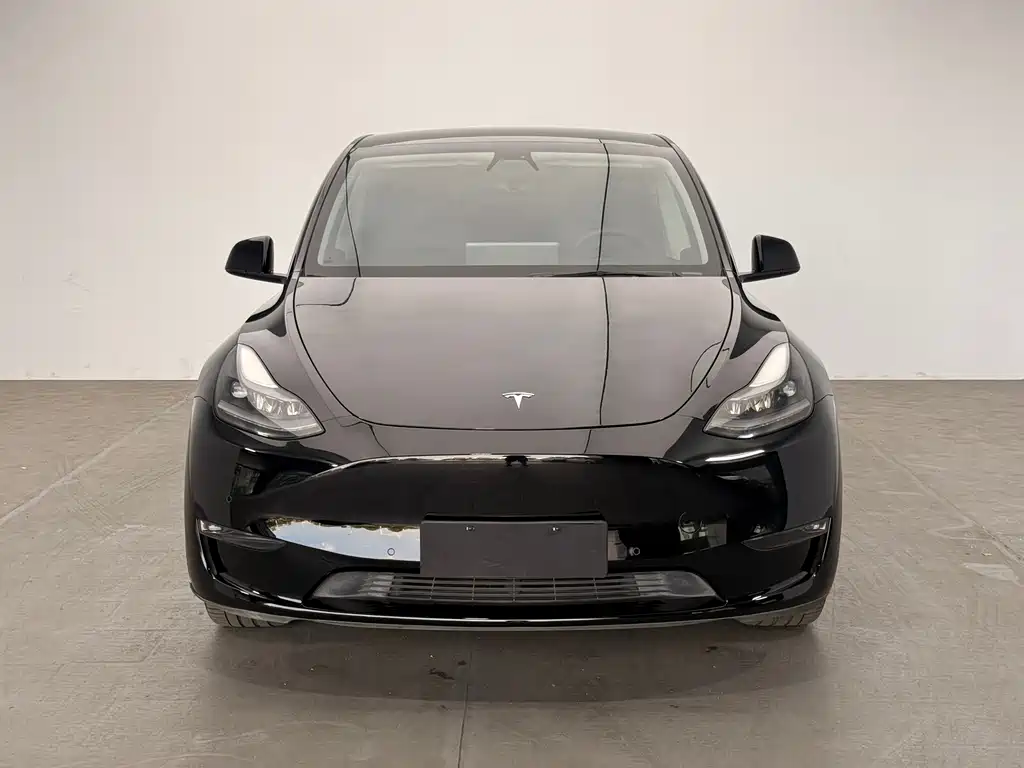 Tesla Model Y — миниатюра 2