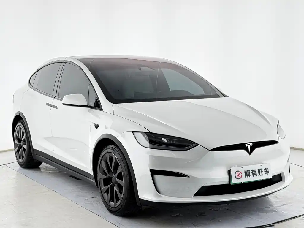 Tesla Model X — миниатюра 4
