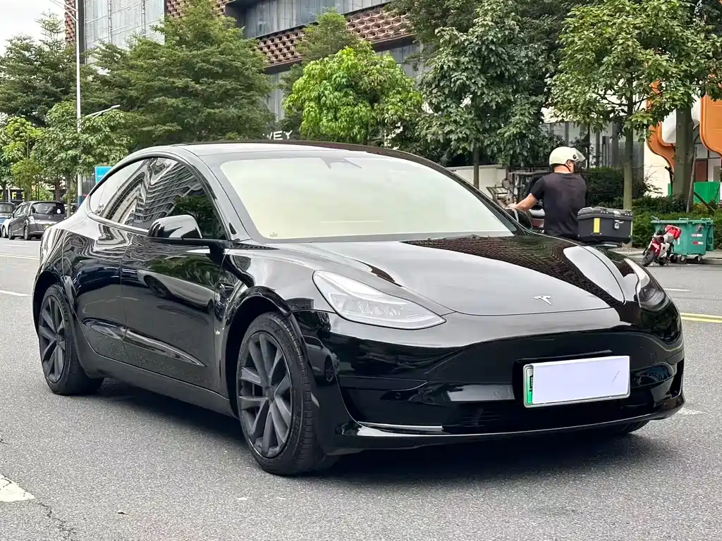 Tesla Model 3 — миниатюра 3