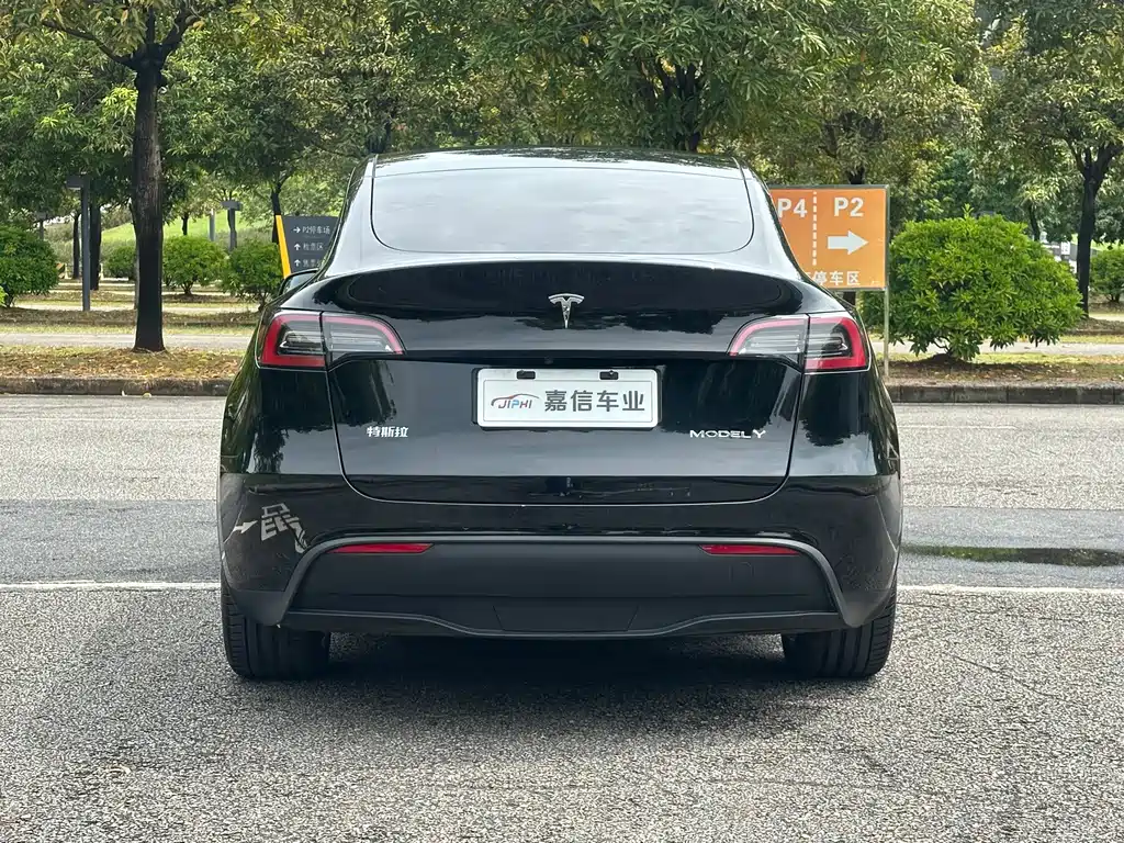 Tesla Model Y — миниатюра 5