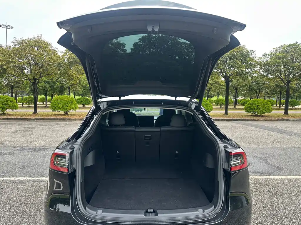 Tesla Model Y — миниатюра 18