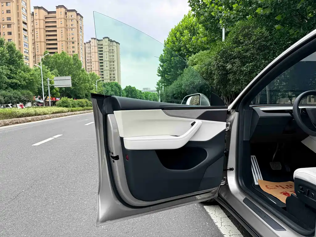 Tesla Model Y L