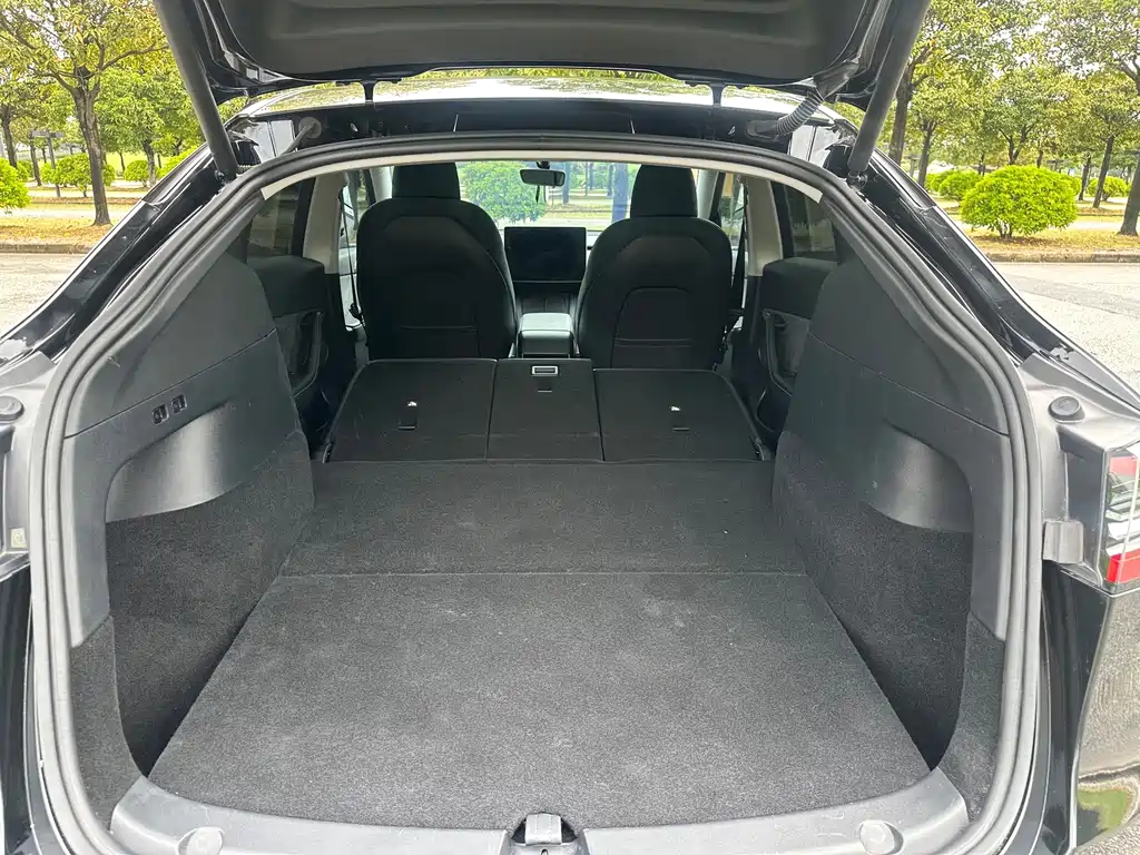 Tesla Model Y — миниатюра 19
