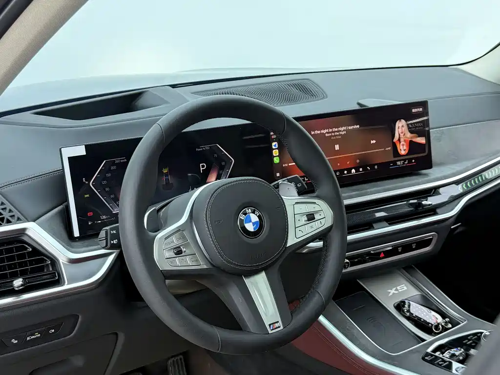 BMW X5 — миниатюра 4