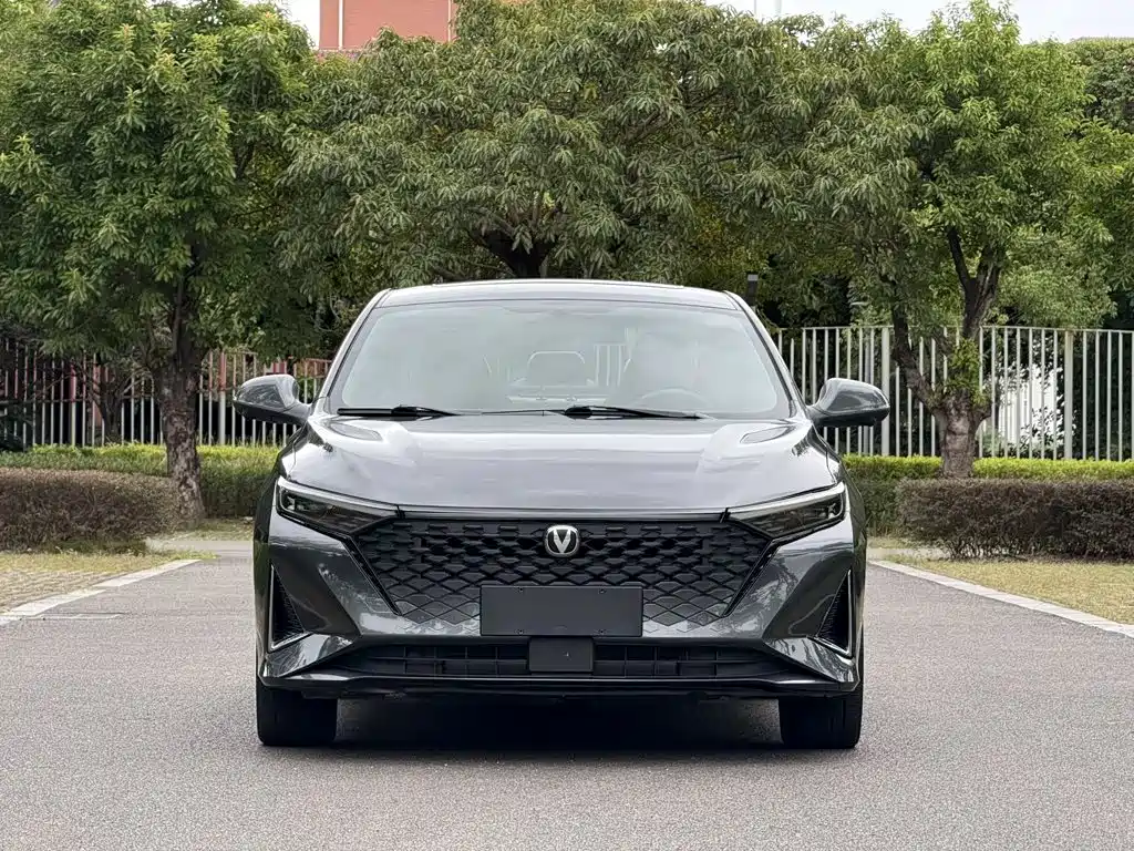 Changan Ruicheng PLUS — миниатюра 2