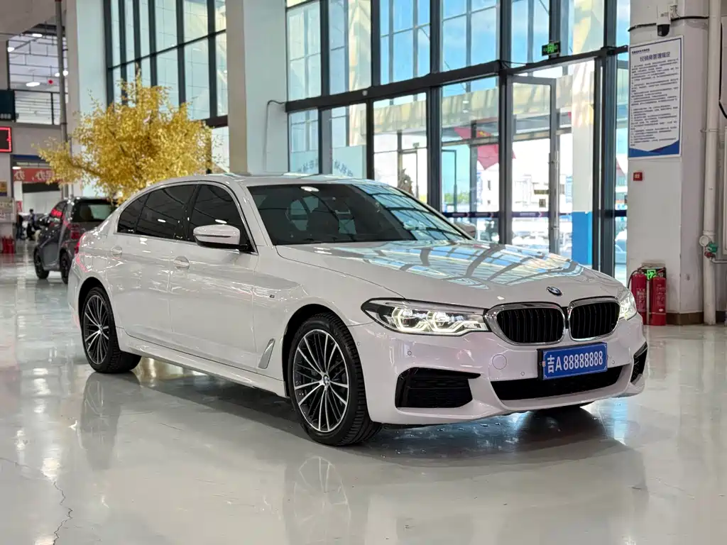 BMW 5 Series — миниатюра 3