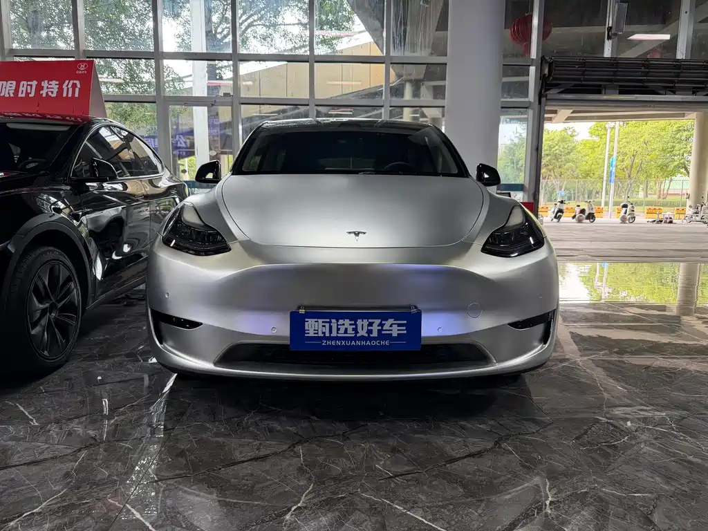 Tesla Model Y — миниатюра 2