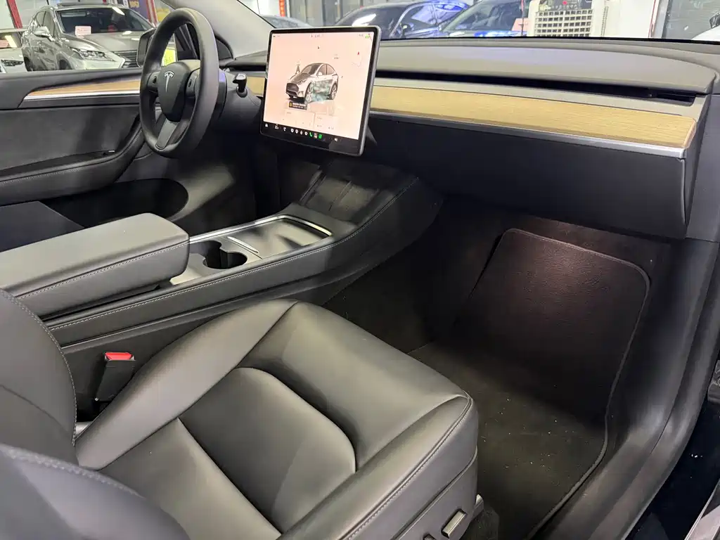 Tesla Model Y — миниатюра 10