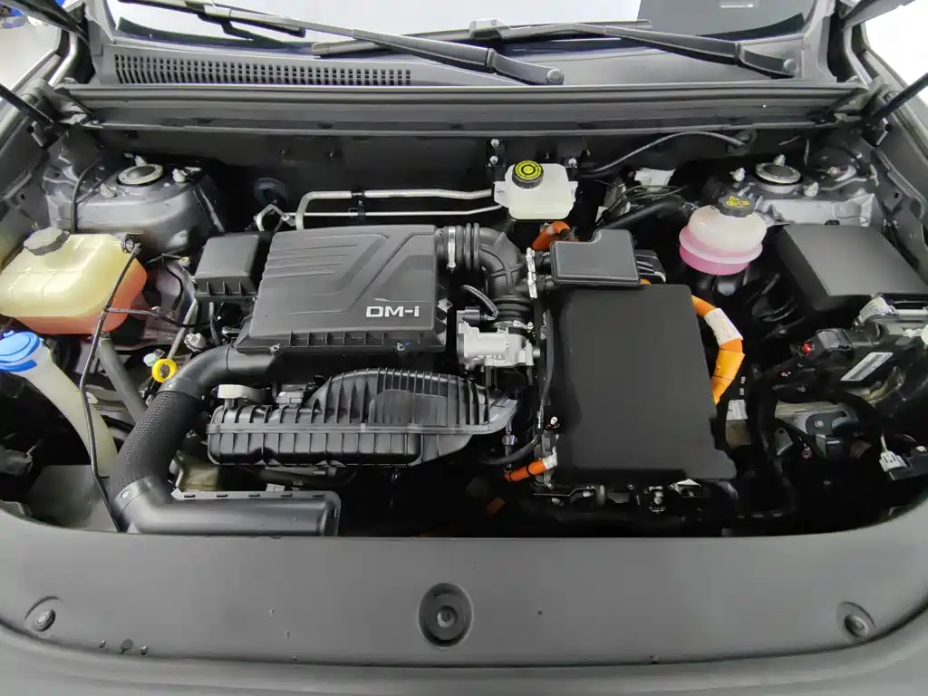 BYD Pro New Energy — миниатюра 6