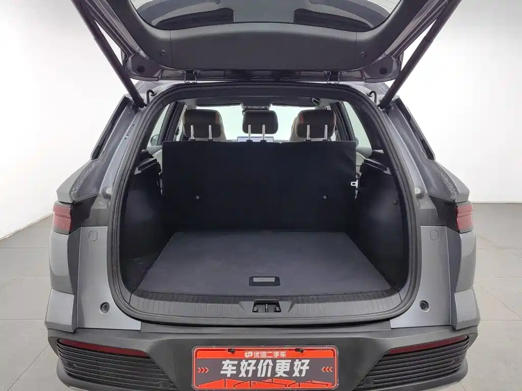 BYD Pro New Energy — миниатюра 16