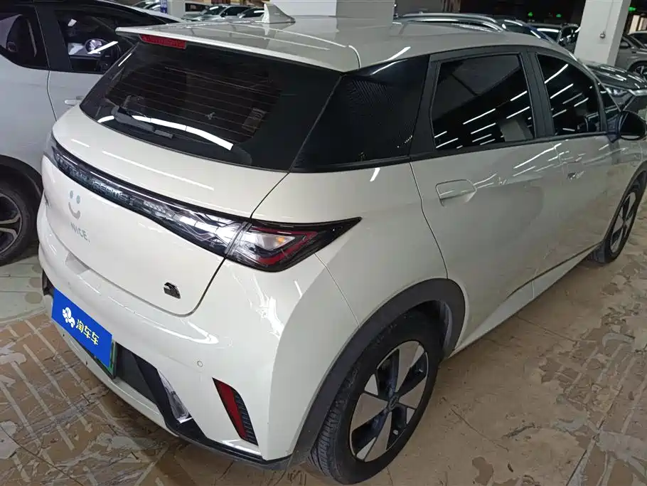 BYD Dolphin 2023 420km Fashion