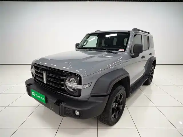 2021 TANK 300