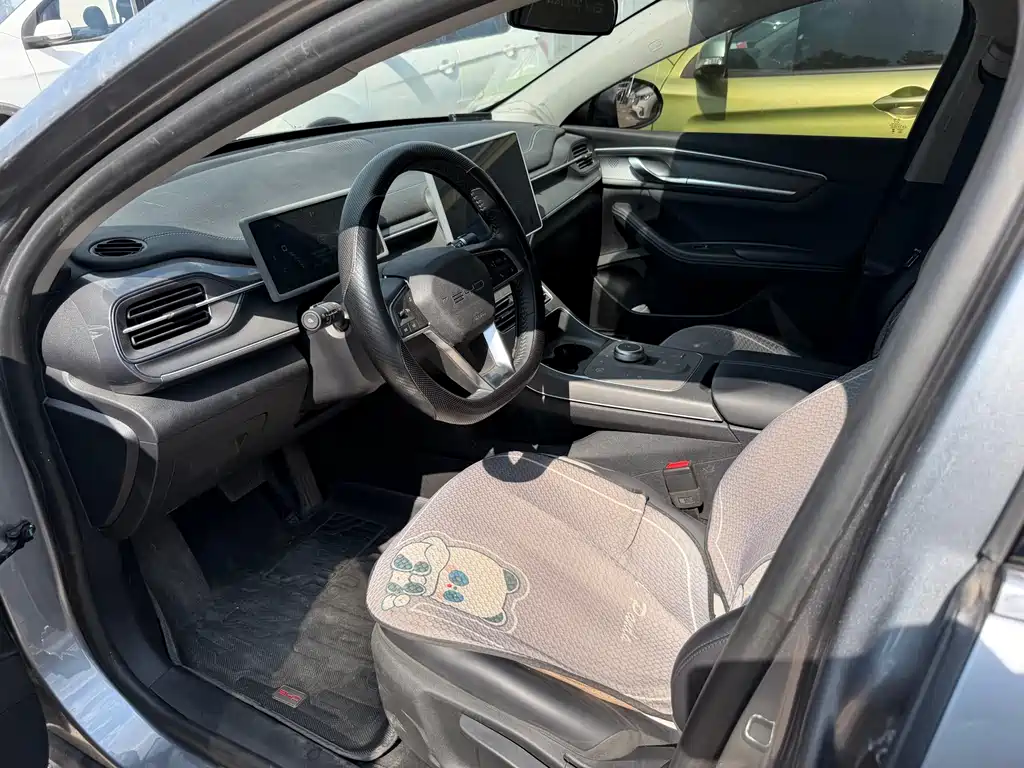 BYD Destroyer 05 2024 DM-i 55KM Luxury