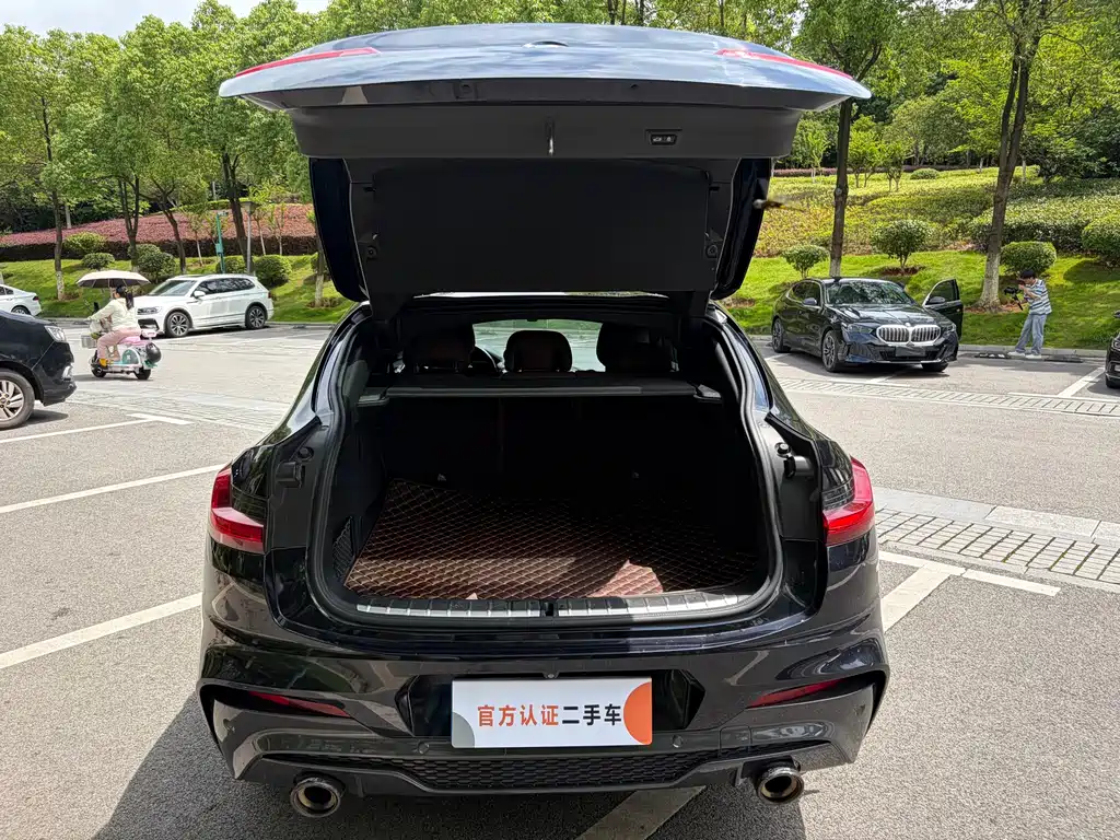 BMW X4 2019 xDrive25i M Sport