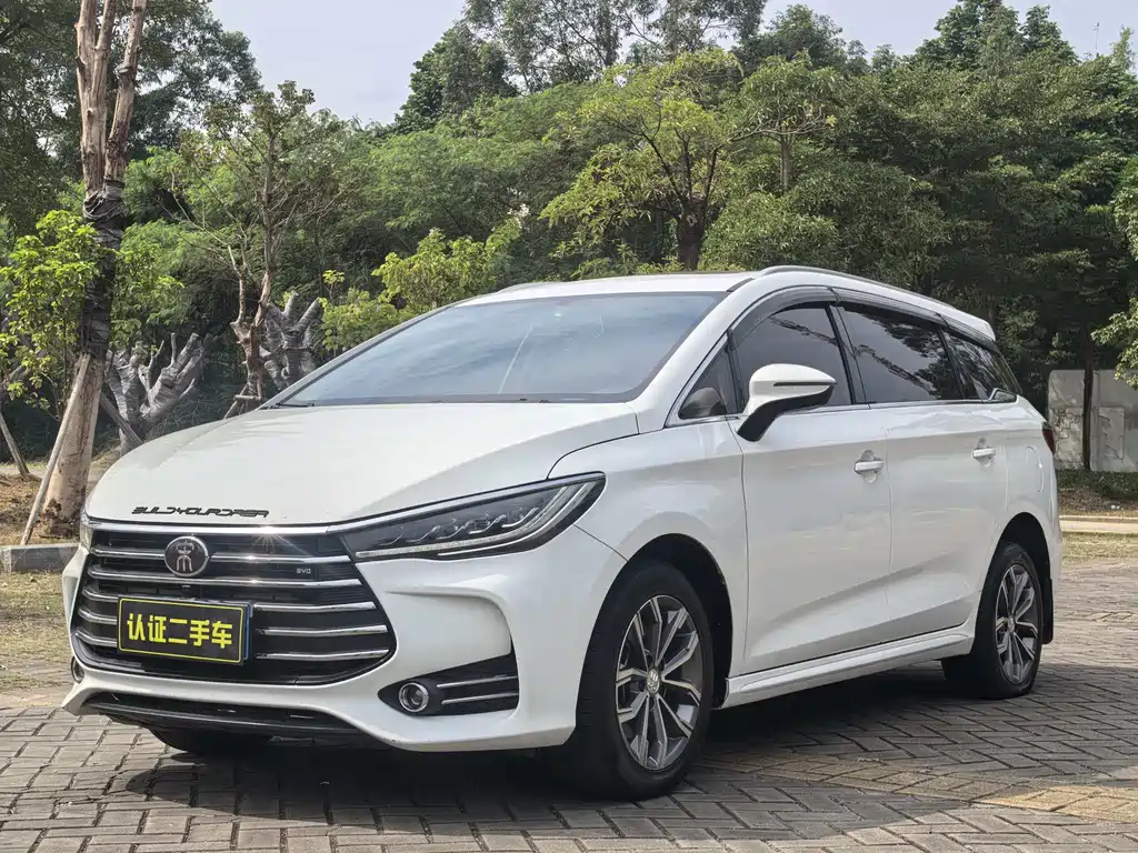 Byd MAX 2020