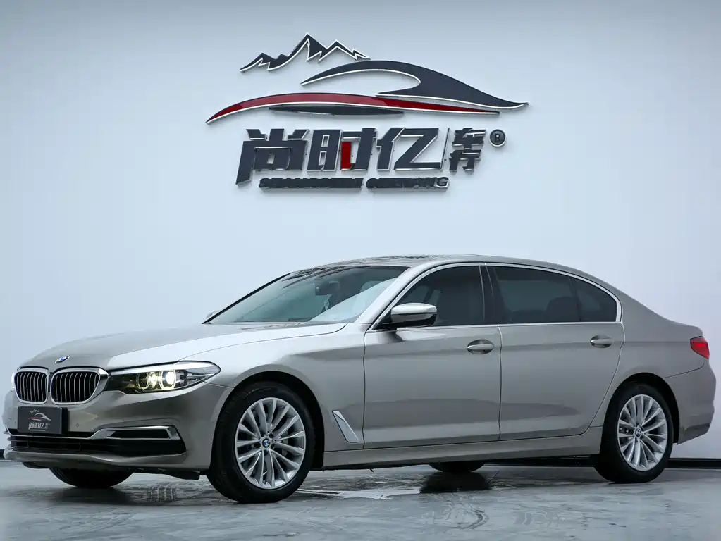 BMW 5 Series 2019