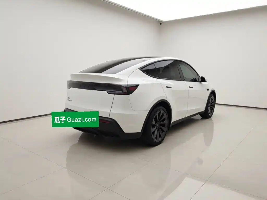 Tesla Model Y — миниатюра 4
