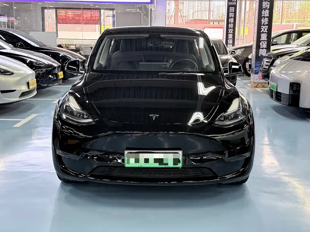 Tesla Model Y — миниатюра 2