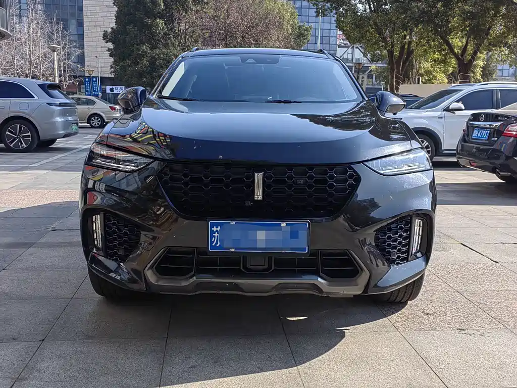 WEI PAI WEI BRAND VV7