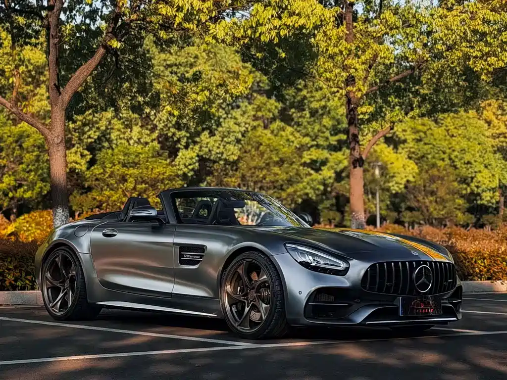 Mercedes-Benz A MG GT 2019 AMG GT C